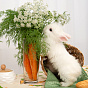 Набор декоративных полотенец (3 шт.) "Радушная хозяйка (Традиция)", рогожка, 100% хлопок, "Морковки"
