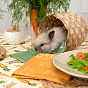 Набор для кухни 2 предмета "Радушная хозяйка (Традиция)" (рукавичка-прихватка, прихватка), рогожка, 100% хлопок, "Морковки"